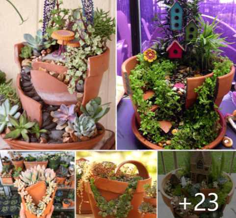 6 Ingenious Ways to Repurpose Broken Pots to Create Succulent Garden Castles