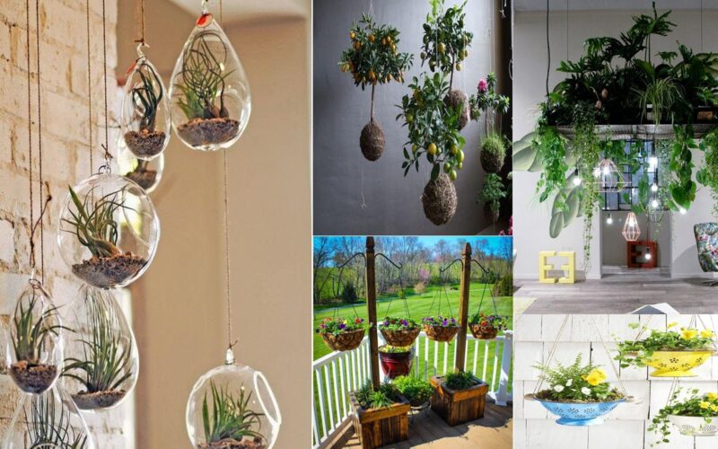 Fantastic Do-It-Yourself Ideas To Upgrade Your Hanging Gardens