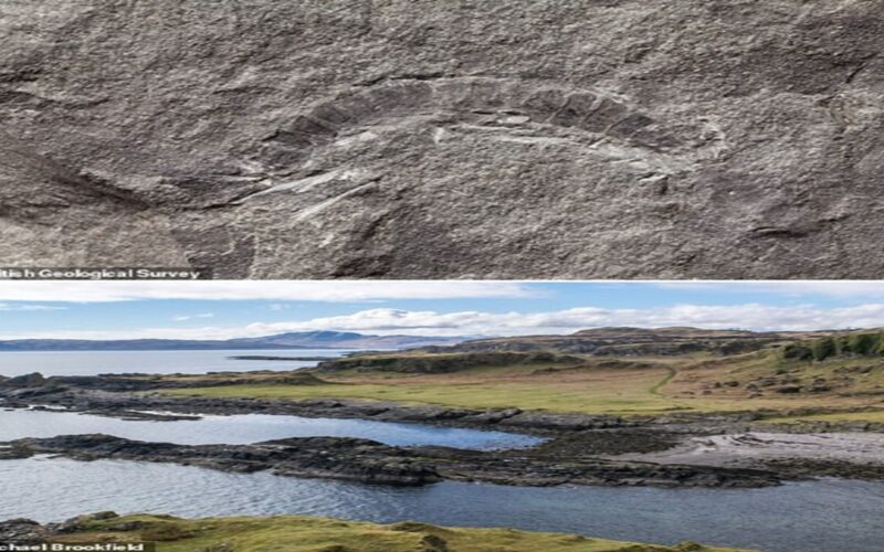 A millipede fossil that dates back 425 million years was found in Scotland.