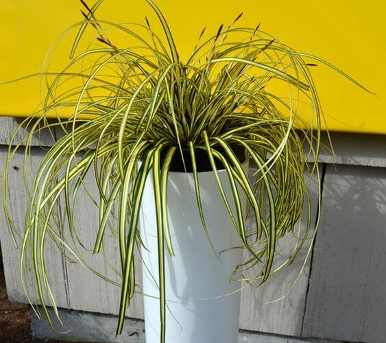 15 Easy-To-Make Plant Stand Ideas Using Upcycled Materials