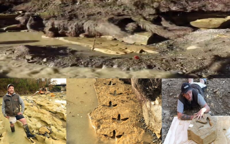 Discovering History: Tractor Driver Finds First Odd Dinosaur Footprint Along Otago River in South Island