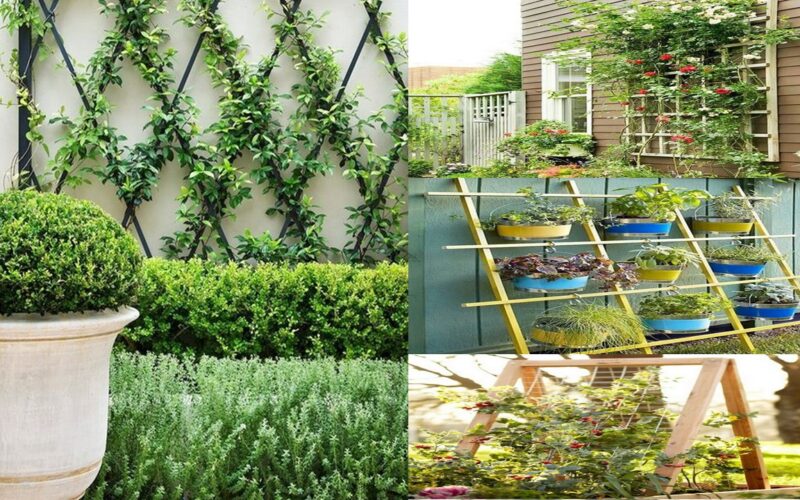 15 Ingenious And Simple Homemade Trellis Designs For Your Yard